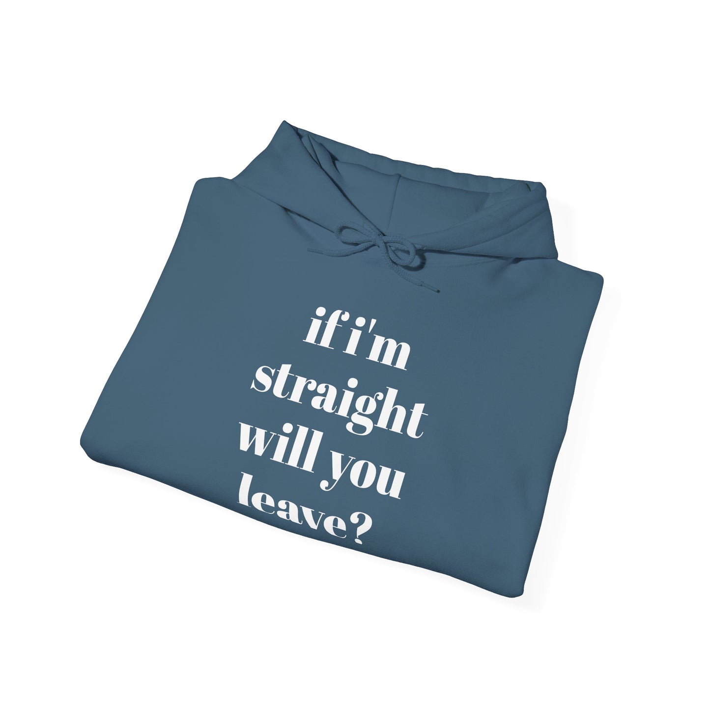 Funny Unisex Hooded Sweatshirt - "If I'm Straight, Will You Leave?"
