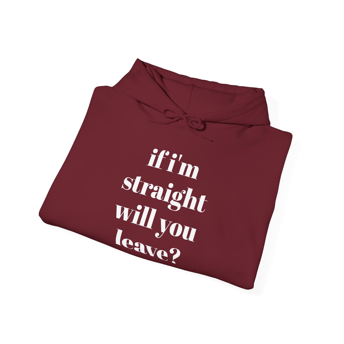 Funny Unisex Hooded Sweatshirt - "If I'm Straight, Will You Leave?"