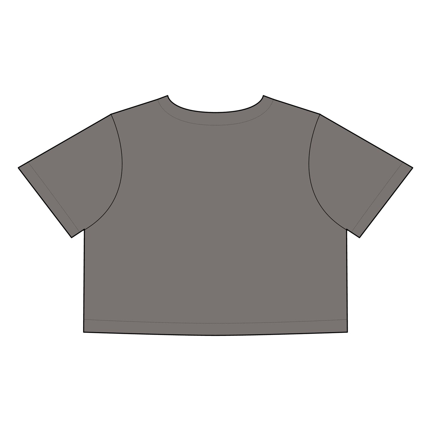 Women’s Faded Crop Tee - Funny Statement Tee for LGBTQ+ Pride