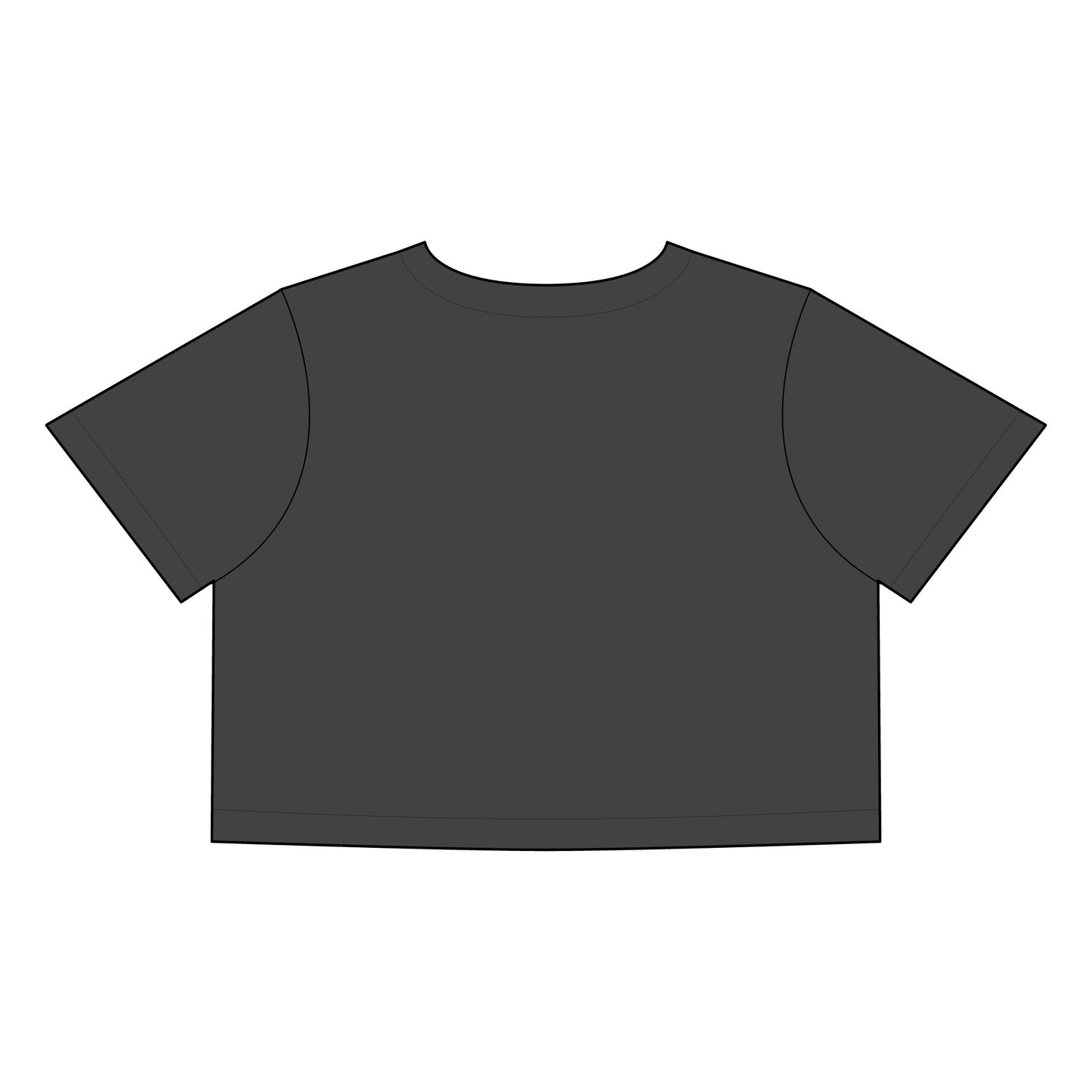 Women’s Faded Crop Tee - Funny Statement Tee for LGBTQ+ Pride