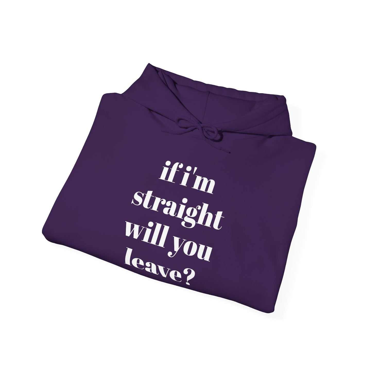 Funny Unisex Hooded Sweatshirt - "If I'm Straight, Will You Leave?"