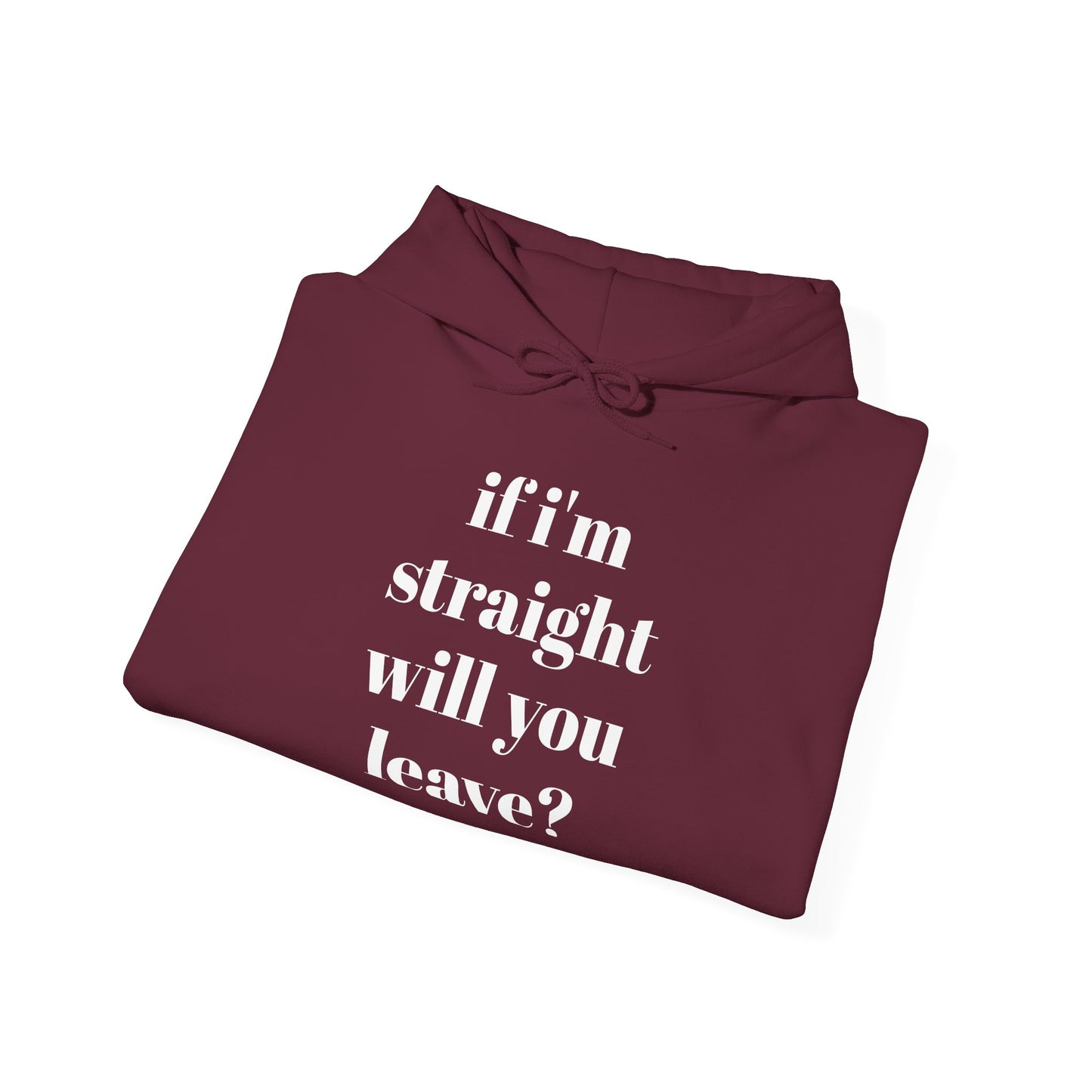 Funny Unisex Hooded Sweatshirt - "If I'm Straight, Will You Leave?"